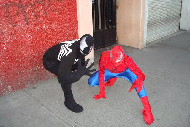 SPIDER & VENUN
