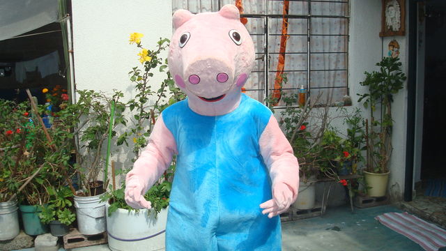 GEORGE PIG