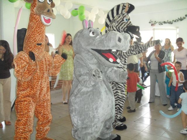 MELMAN GLORIA